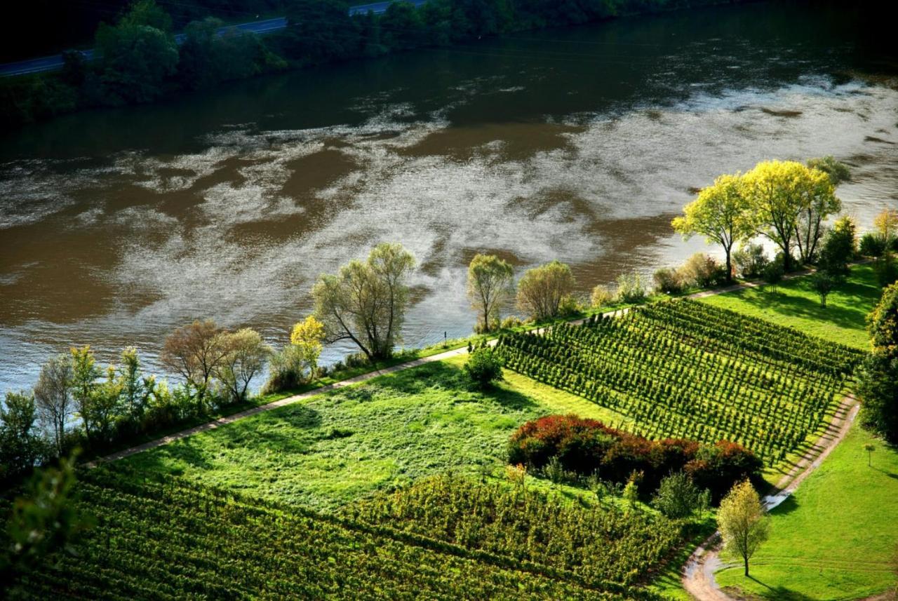 Апартаменти Weingut Helmut Barzen Целль-ан-дер-Мозель Екстер'єр фото